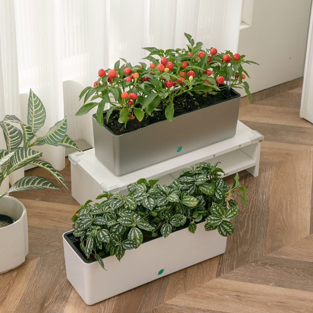 Plastic Pots (4)