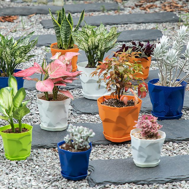 Plastic Pots (5)