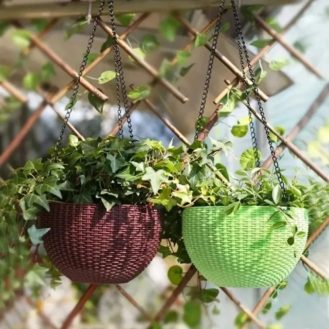 Plastic hanging baskets (1)