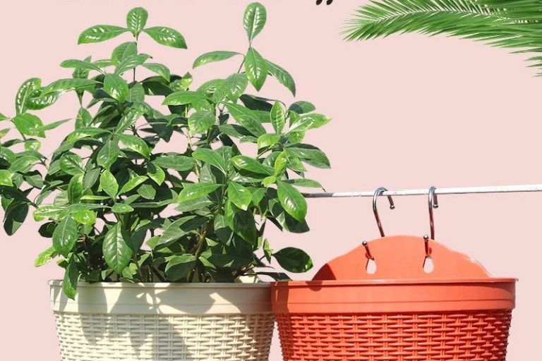 Plastic hanging baskets (1)