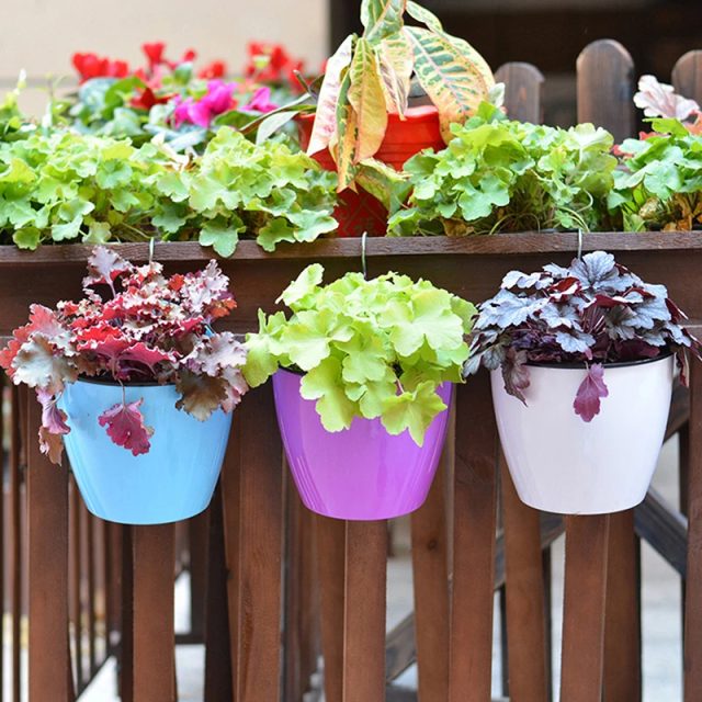 Plastic hanging baskets (1) Plastic hanging baskets (1)