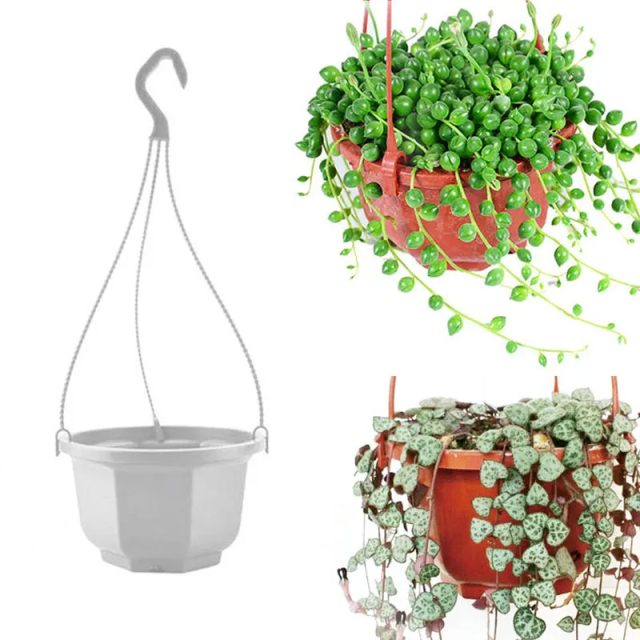 Plastic hanging baskets (1) Plastic hanging baskets (1)