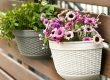 Plastic hanging baskets (2)