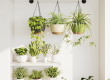 Plastic hanging baskets (3)