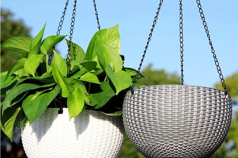 Plastic hanging baskets (5)