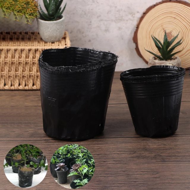Plastic nursery pots (1)