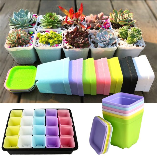 Plastic nursery pots (1) Plastic nursery pots (1)