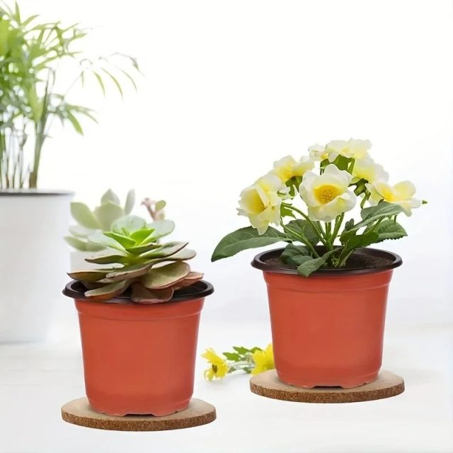 Plastic nursery pots (1)