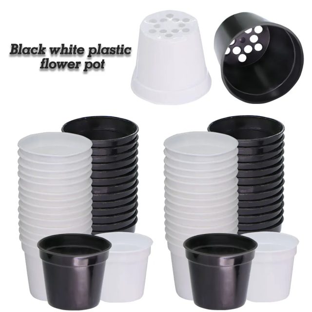 Plastic nursery pots (1) Plastic nursery pots (1)
