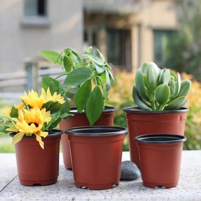 Plastic nursery pots (2)
