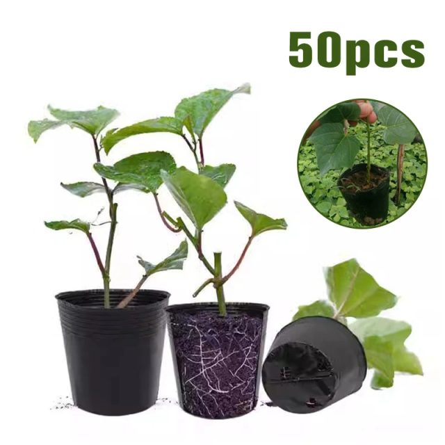 Plastic nursery pots (2) Plastic nursery pots (2)
