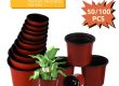 Plastic nursery pots (3)