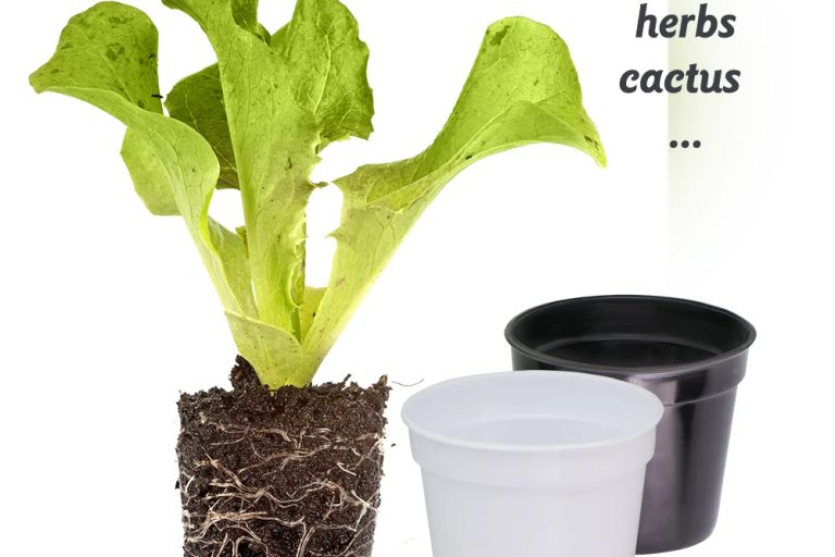 Plastic nursery pots (3)