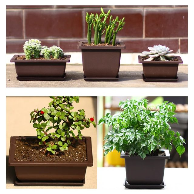 Plastic nursery pots (4) Plastic nursery pots (4)
