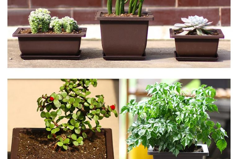 Plastic nursery pots (4)