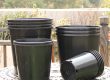 Plastic nursery pots (5)