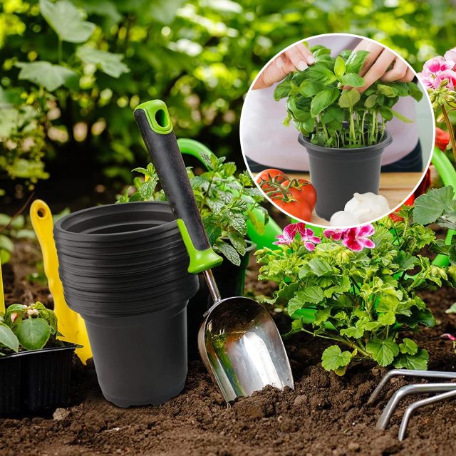 Plastic nursery pots (6) Plastic nursery pots (6)