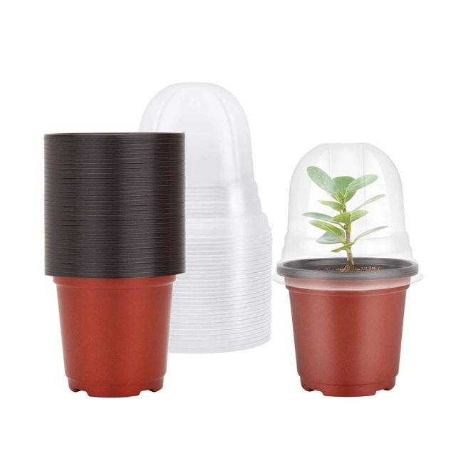 Plastic nursery pots (6) Plastic nursery pots (6)