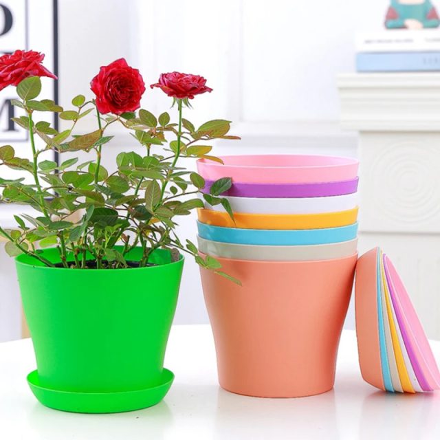 Plastic pot (1)