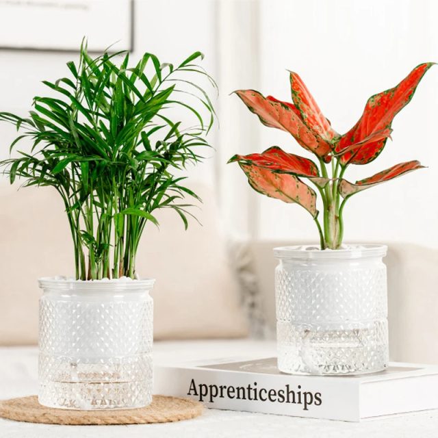 Plastic pot (4) Plastic pot (4)