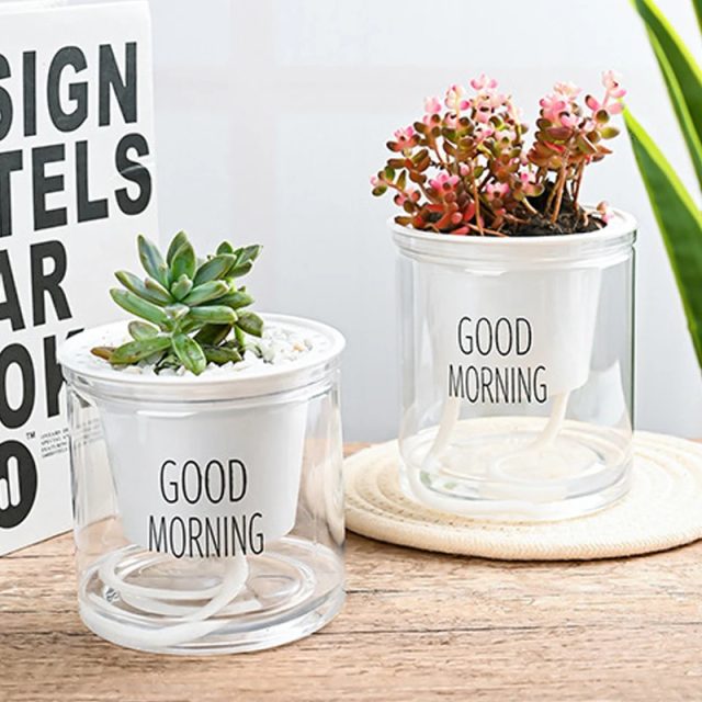 Plastic pot (5) Plastic pot (5)