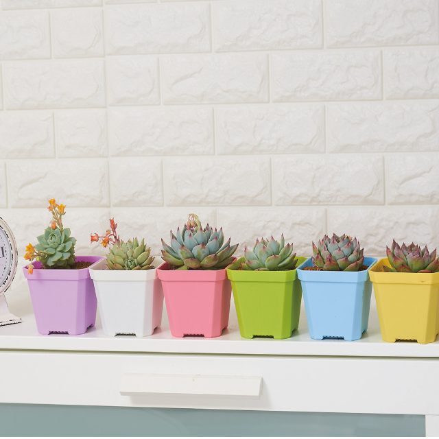 Plastic pots (1)
