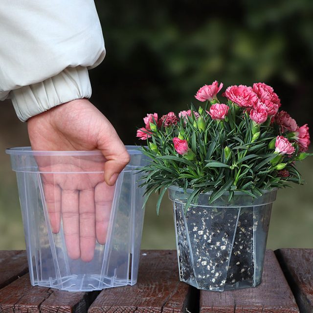 Plastic pots (1)