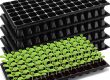 Seedling Tray (1)