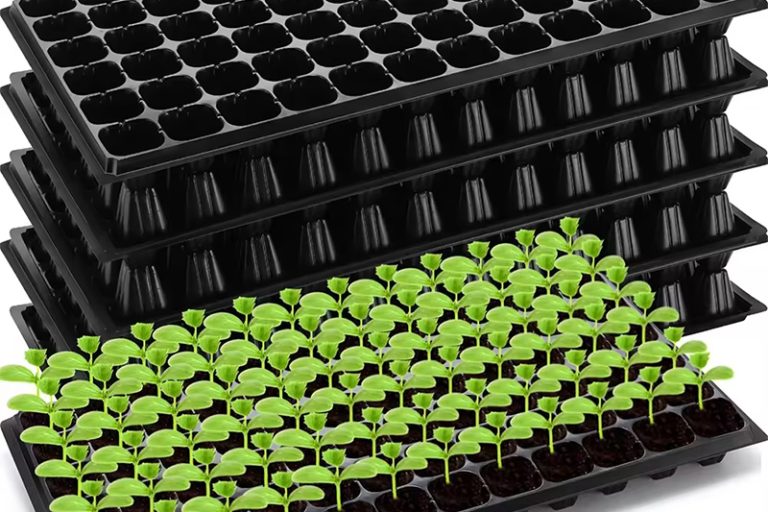 Seedling Tray (1)
