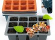 Seedling Tray (1)