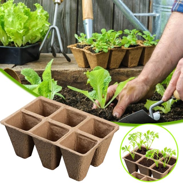 Seedling tray (1)