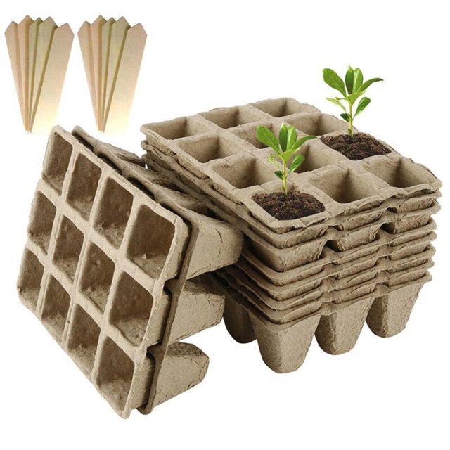 Seedling tray (1)