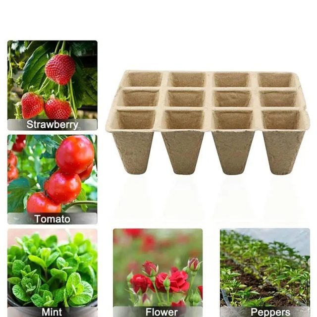 Seedling tray (1)