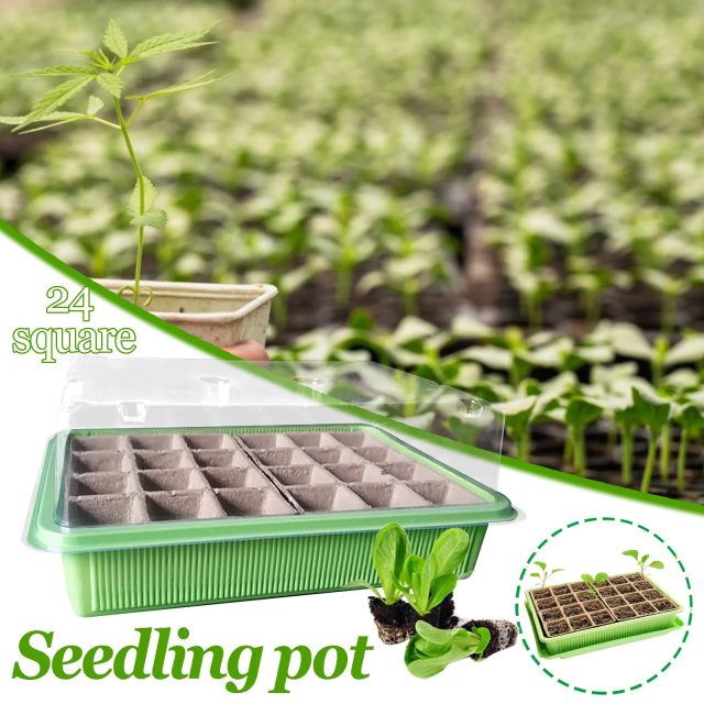 Seedling tray (1)