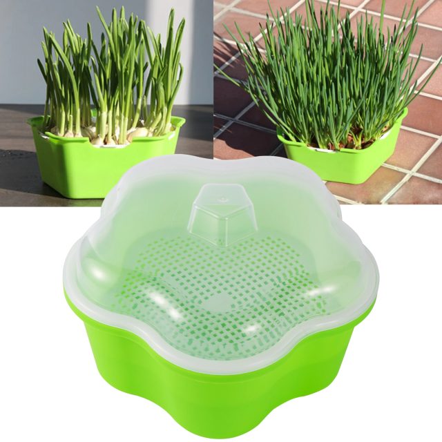 Seedling tray (1)