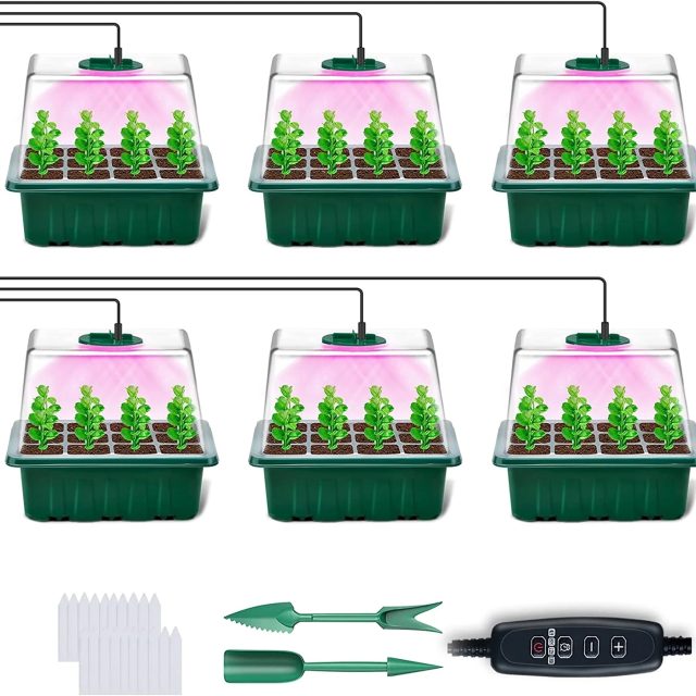 Seedling tray (1)
