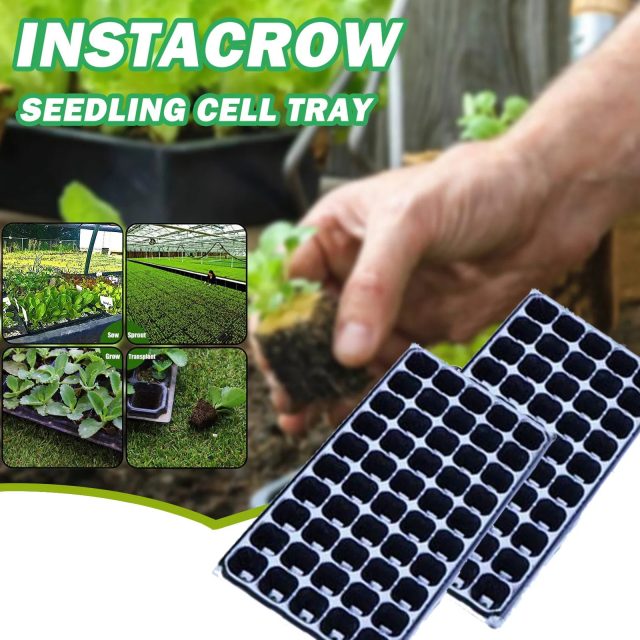 Seedling tray (1)