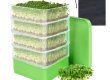 Seedling tray (2)