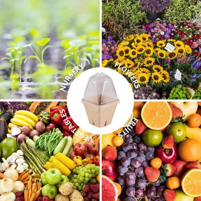 Seedling tray (5) Seedling tray (5)