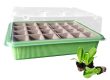Seedling tray (6)