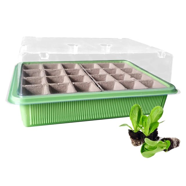 Seedling tray (6) Seedling tray (6)