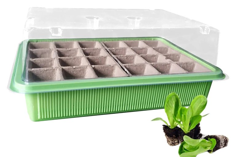 Seedling tray (6)