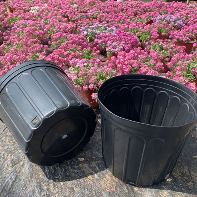 plastic nursery pots (6) plastic nursery pots (6)